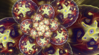 Flower fractals generative art gem - image of a flower free wallpaper
