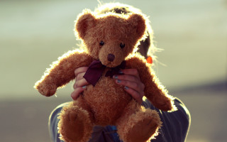 Person holding teddy bear fur - a teddy bear free wallpaper
