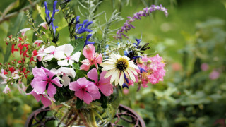 Vase flower field bokeh impressionism - a still life free wallpaper