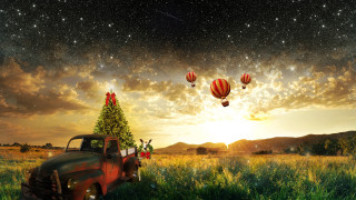 Truck christmas tree field hotairballoons - a truck free wallpaper