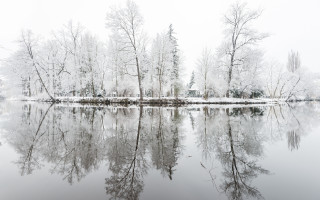 Winter snow forest lake houses - snow and ice free wallpaper