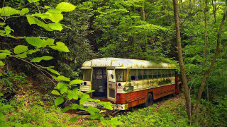 Old bus woods sitting in - broken free wallpaper for desktop