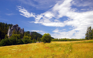 Mountain field forest sky clouds - a mountain in the background and trees free wallpaper