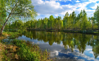 Lake trees grass cloudy sky 2 - arkhip kuindzhi free wallpaper for desktop
