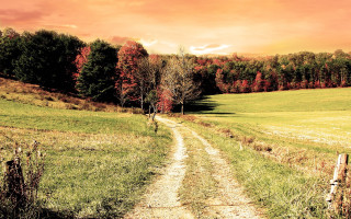 Dirt road autumn sunset foliage - a dirt road in a field free wallpaper