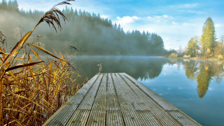 Lake foggy dock trees mountains - the foreground and a body of water free wallpaper