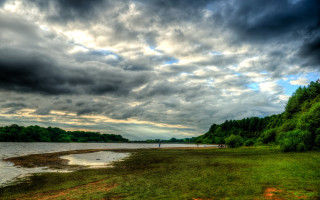 Cloudy lake shore forest evening - hdr free wallpaper