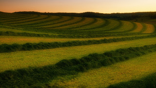 Field bales sunset clouds puzzle - david begbie free wallpaper