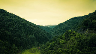 Train forest hillside valley nature - the track free wallpaper
