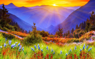 Mountain landscape autumn sunset flowers - flower and trees free wallpaper
