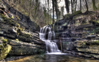 Waterfall forest moss stream cityscape - a stream running free wallpaper