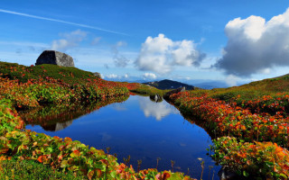 Small pond flower mountain cloud - a small pond free wallpaper