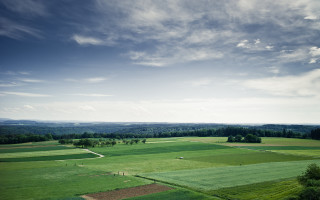 Large field trees clouds beach - a large field free wallpaper