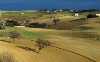 Field trees house dark sky - free landscape wallpaper