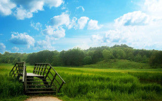 Wooden bench field ladder nature - a ladder free wallpaper