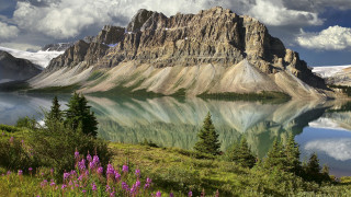 Mountain lake forest flower sky 2 - bob ross free wallpaper