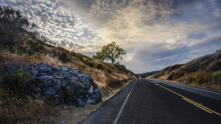 Road tree fence lake mountain - a fence free wallpaper