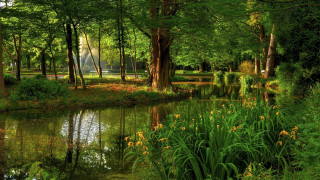 Pond trees grass fountain park - a pond free wallpaper for desktop
