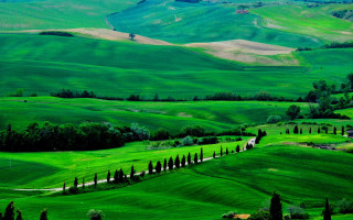 Green landscape hills trees house 2 - a green landscape free wallpaper
