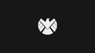 White eagle logo black background 2 - the right side of the image free wallpaper