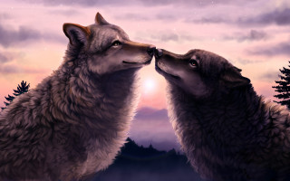 Wolf kissing sunset mountain fullmoon - tree and a mountain in the background free wallpaper