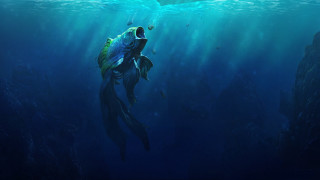 Large fish diving underwater ocean - a fish free wallpaper