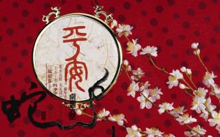 Chinese flower cat sunrise snowflakes - a chinese writing free wallpaper
