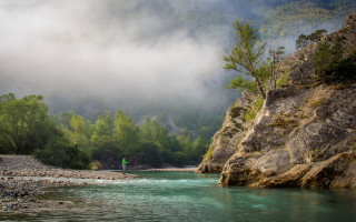 River bank forest rocks green - alen divi free wallpaper