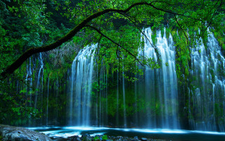 Waterfall tree river forest nature - free nature wallpaper