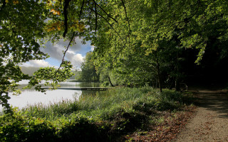 Lake path bridge trees nature - a bridge in the distance free wallpaper