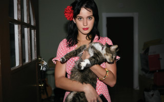 Woman cat indoor polaroid precisionism - americo makk free wallpaper for desktop