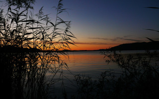 Lake sunset plants hill forest - free sunset wallpaper for desktop