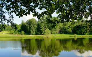Lake trees park bench plein - the other side of the lake free wallpaper