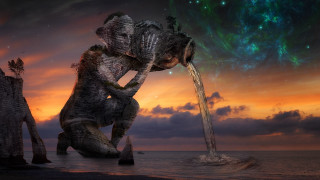 Elephant drinking water sunset colorful - a fountain free wallpaper