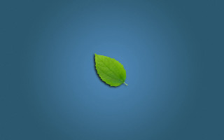 Green leaf blue surface light - a light reflection free wallpaper for desktop