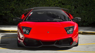 Red sports car parked bush - yellow line free wallpaper