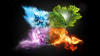 Colored plants black background group - triadic free wallpaper for desktop