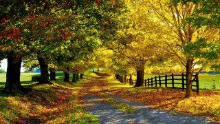 Dirt road trees fall fence - the fall season free wallpaper