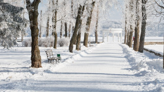 Snowy path benches trees white - both side of it free wallpaper