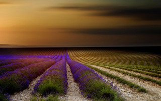 Lavender sunset clouds gravel road - the field free wallpaper