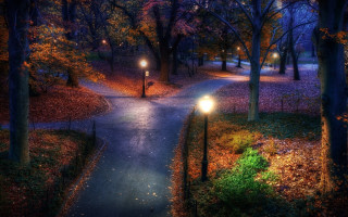 Park pathway night lights autumn - evgeny lushpin free wallpaper for desktop