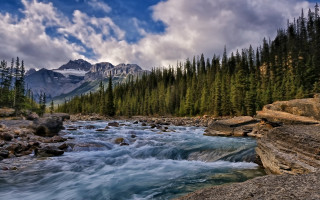 River forest rocks mountains cloudy - river free wallpaper