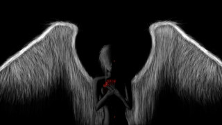 Woman angel wings red rose - angel free wallpaper