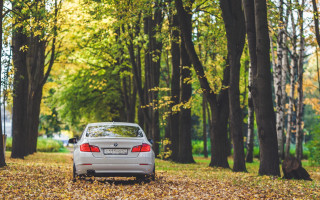 Car forest autumn leaves minimalist - minimalism free wallpaper