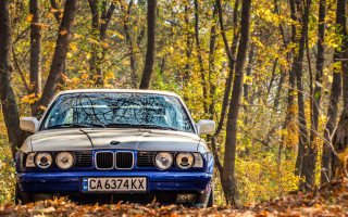 Blue white car woods autumn - renaissance free wallpaper