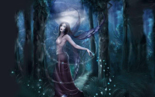 Woman dress forest bird flying - a woman in a dress free wallpaper