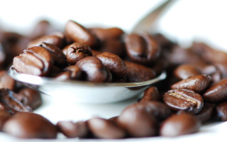 Coffee beans spoon white background - coffee bean free wallpaper