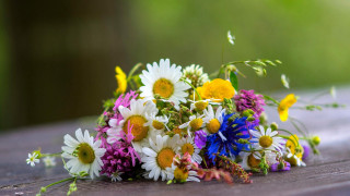 Wildflowers bouquet wooden table sunlight - free flowers wallpaper
