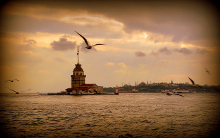 Birds lighthouse cityscape matte cinematic - cinematic landscape free wallpaper