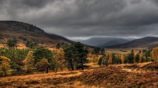 Autumn mountain field cloudy sky - moody free wallpaper